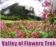 valley of flowers trek